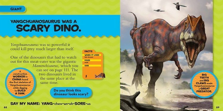NATIONAL GEOGRAPHIC - 美國國家地理兒童百科書 英文原版 National Geographic Little Kids First Big Book 自然科普系列9冊 精裝超大