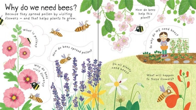 Usborne Why do we need bees 蜜蜂