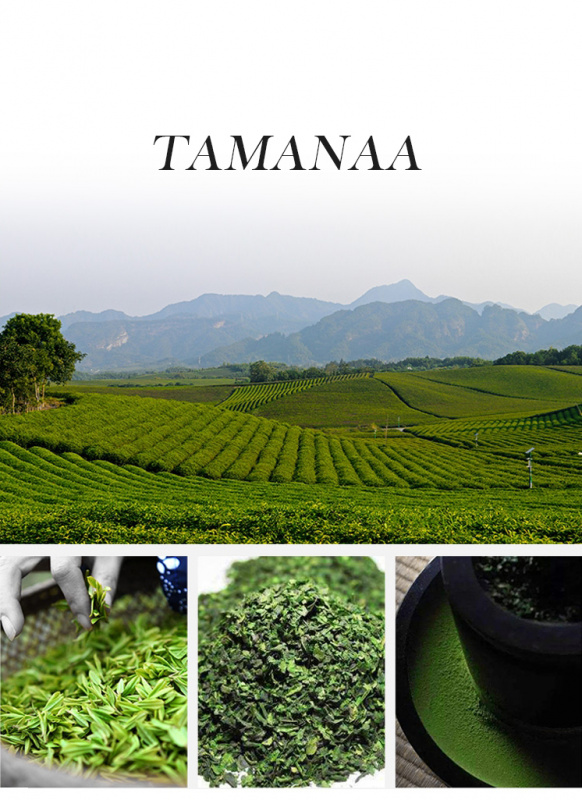 TAMANAA 日本茶系列 日本宇治抹茶粉 60g