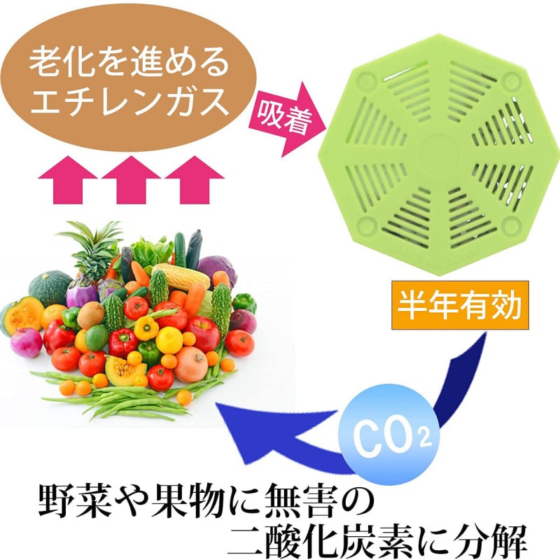 日本Biocera 蔬菜水果鮮度保持盒【市集世界 - 日本市集】