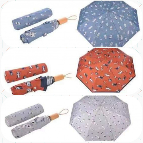 日本kusuguru japan雨傘 具有防紫外線99%功能，可用于晴天和雨天。 (現貨發售)