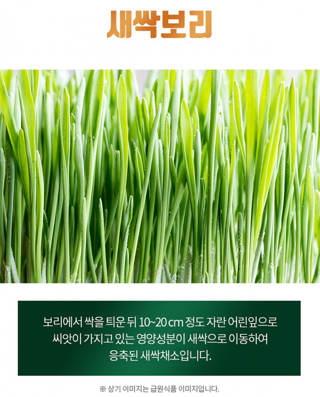 韓國SSF 發芽大麥青汁粉 (1盒100條)【市集世界 - 韓國市集】(平行進口)