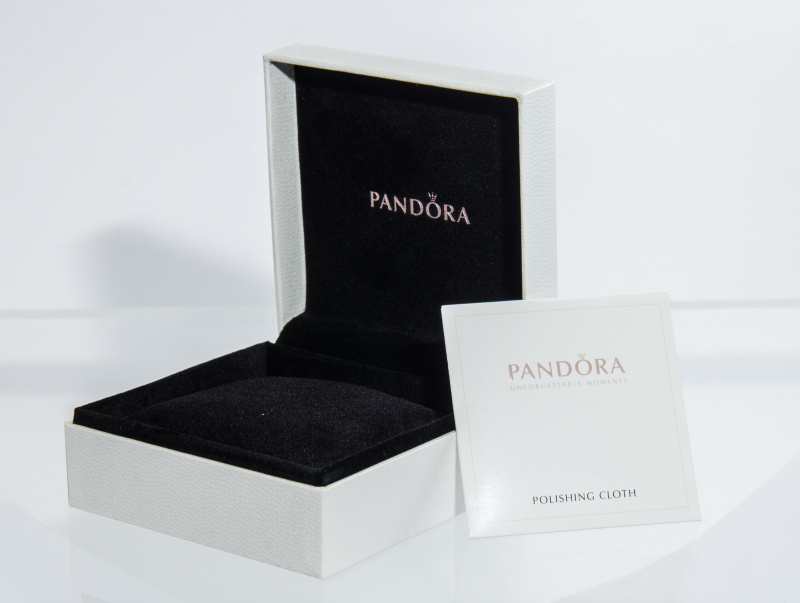 Pandora Moments 心形鏈扣蛇形手鏈 20cm (590719-20)