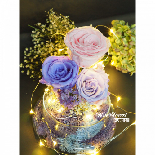 保鮮•愛 發光玻璃罩玫瑰保鮮花 [3拼色] [可免費刻上名或祝福字句]