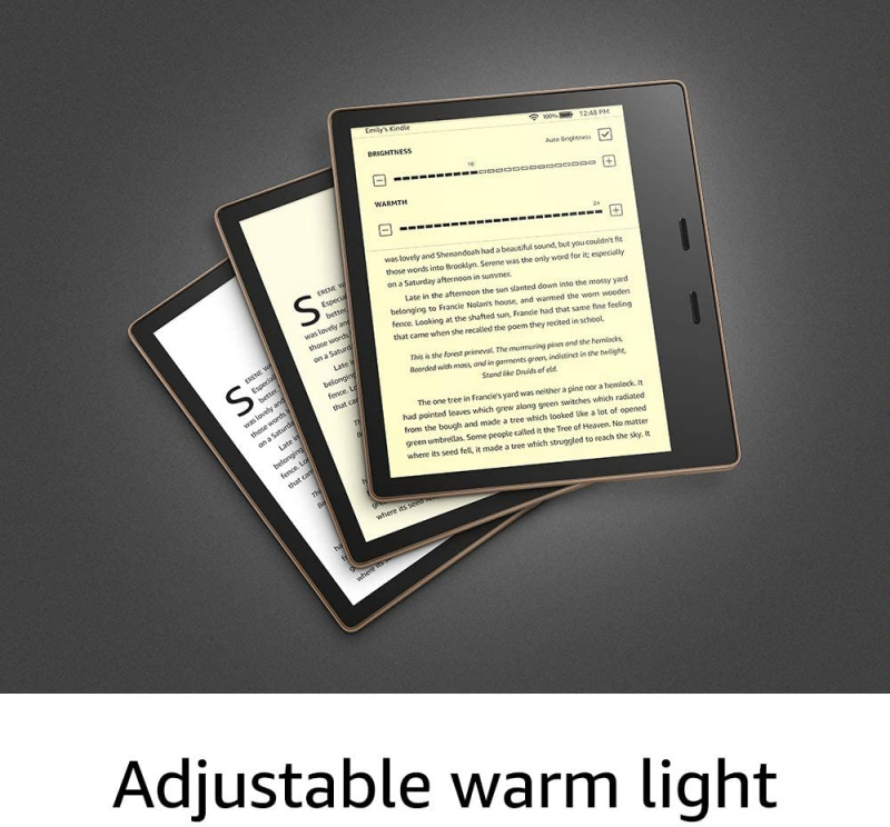 2019 Kindle Oasis 7"吋電子書閱讀器 (8GB內存廣告版) - 灰色(平行進口30天保養)