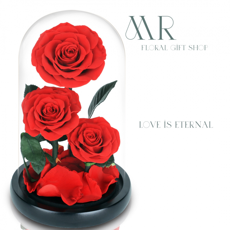 皇家厄瓜多爾紅玫瑰永生花玻璃罩擺設