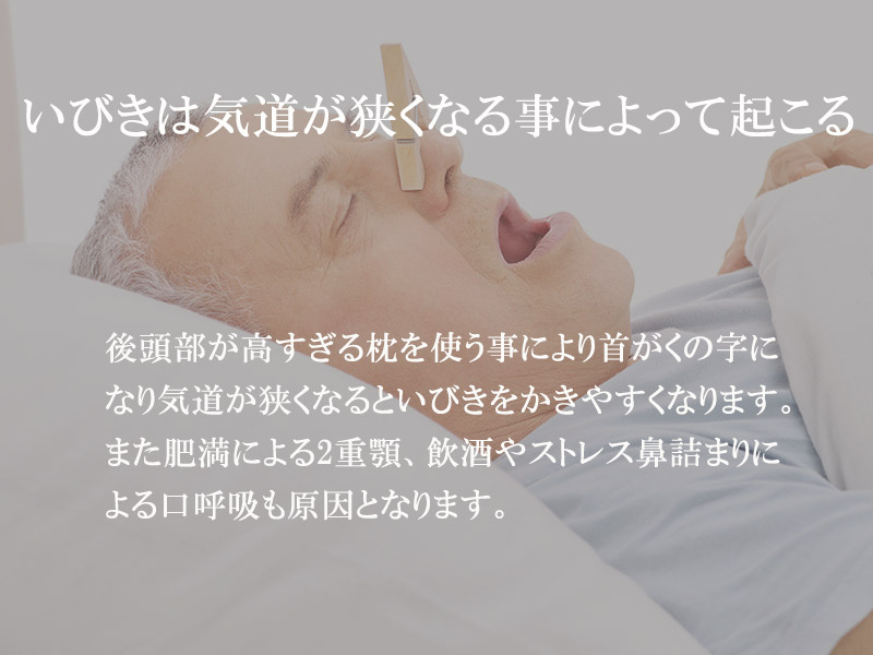 日本備長炭寝ながら健康に枕 [2款]