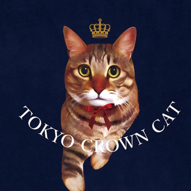 日本 貓雜貨 Tokyo Crown Cat 皇冠花貓 貓掌印 雜錦造型工藝朱古力 長形禮盒 (1盒 4件)(081)【市集世界 - 日本市集】