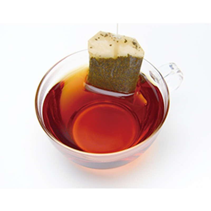 日版 日東紅茶 Day & Day 紅茶茶包 超值抵用裝 100包【市集世界 - 日本市集】