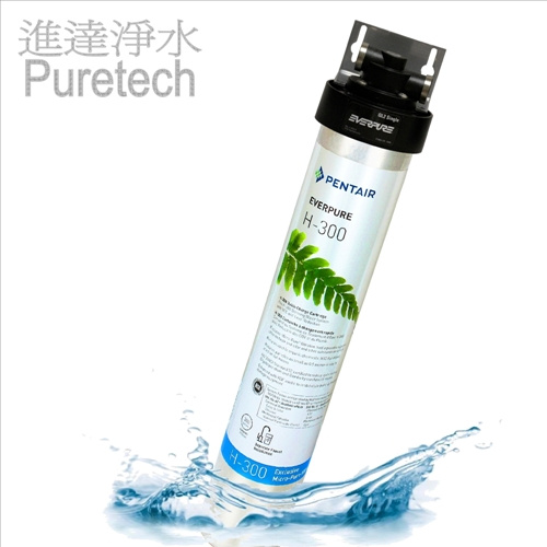 Everpure H-300 濾水器包上門送貨連標準安裝 (Filtration System with on-site installation)