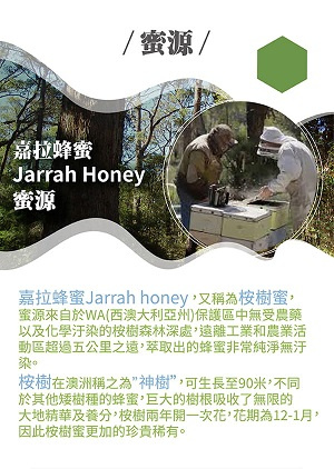 Fewster’s Farm-Jarrah Honey TA 30+有機紅柳桉蜂蜜12克30條獨立包裝(澳大利亞直送&澳大利亞製造)