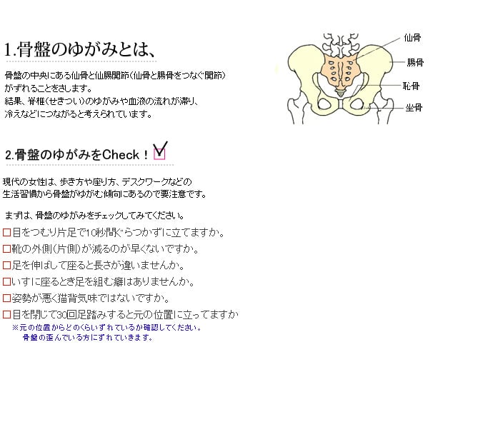 日本製style Up Body Shape Wear 4尺寸 Hkdotbuy
