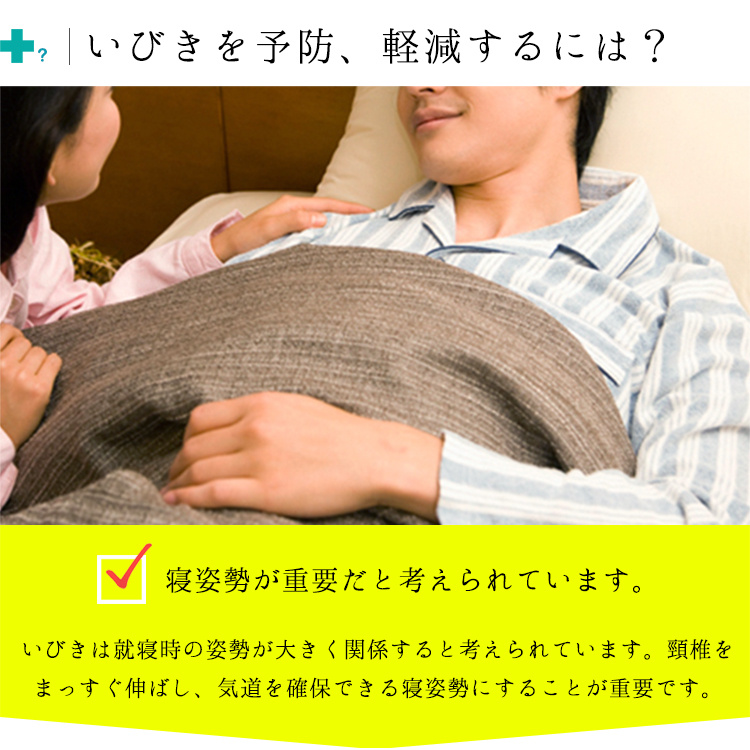 日本Premium Pillow 5WAYの使い方が出来る枕