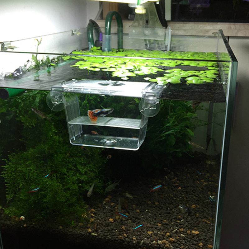 魚缸水族魚缸孵化箱養殖透明亞克力孵化器架水族魚缸雙養殖孵化器