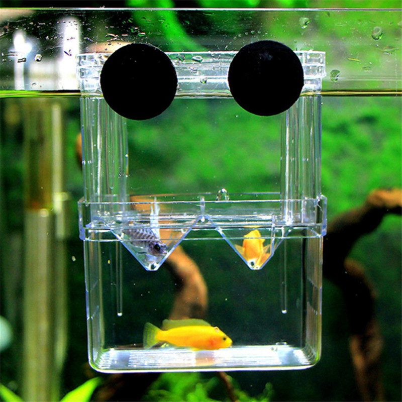 魚缸2 Sizes Double-Deck Clear Fish Breeding Isolation Box Aquarium Breeder Fish Tank Hatching Incubator Fish House Home