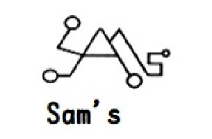 Sam's Technology Company