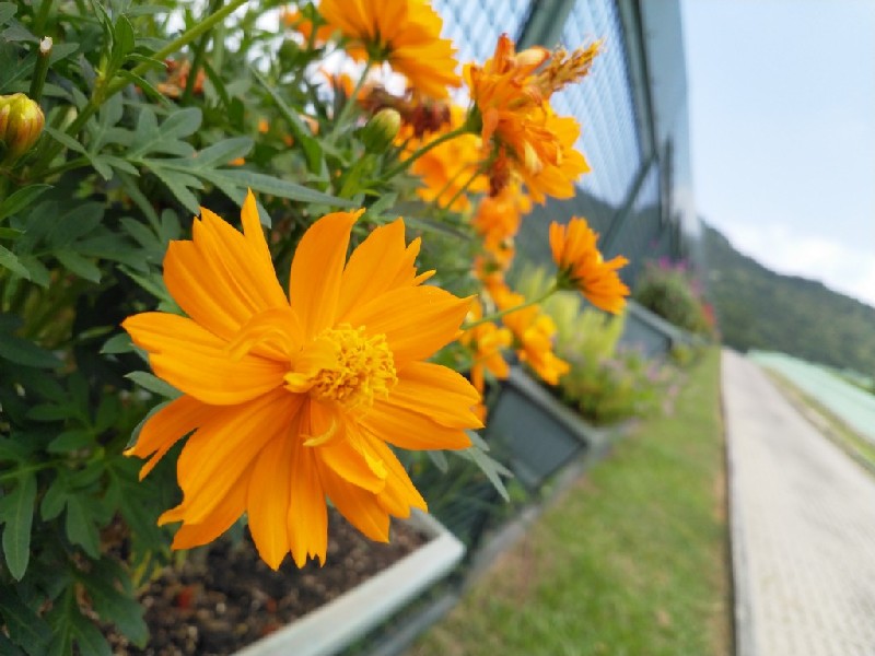 Google Camera 4.4 APK 下载: Nokia 8 上安装