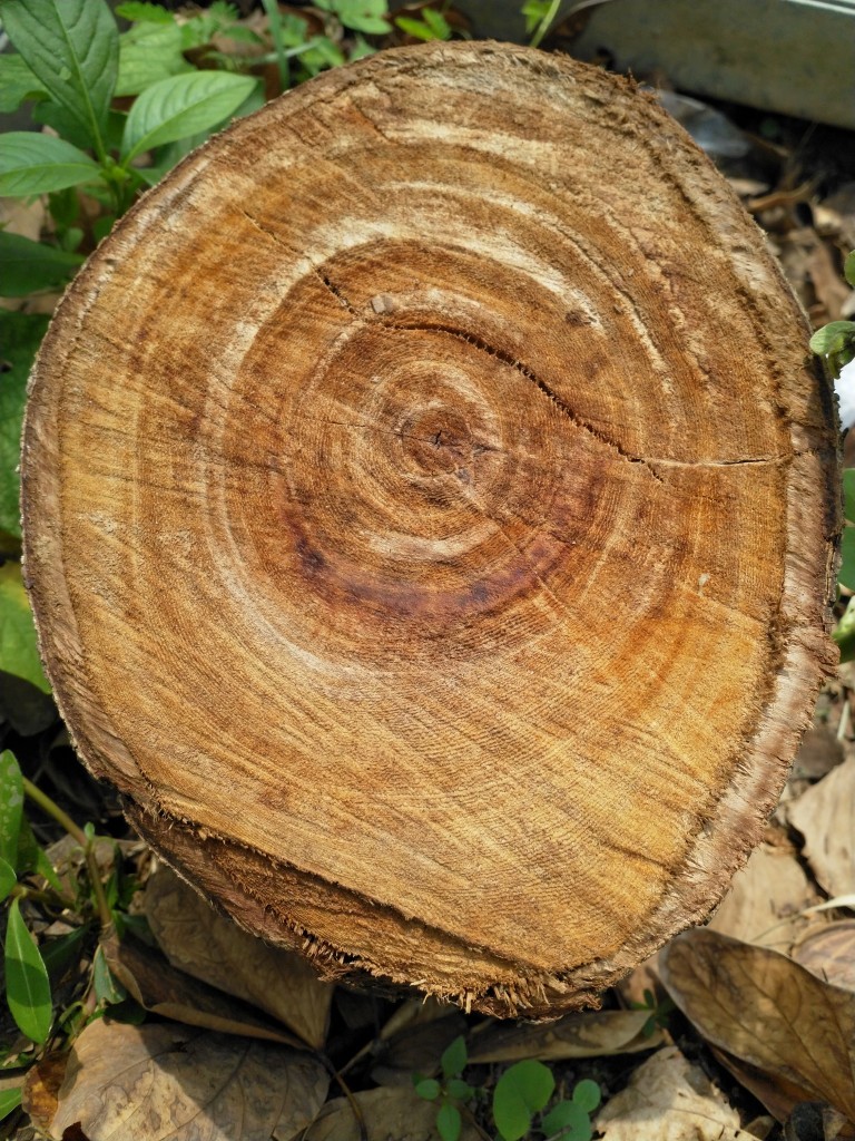 Google Camera 4.4 APK 下载: Nokia 8 上安装