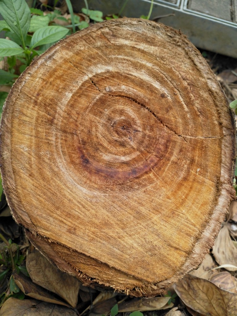 Google Camera 4.4 APK 下载: Nokia 8 上安装