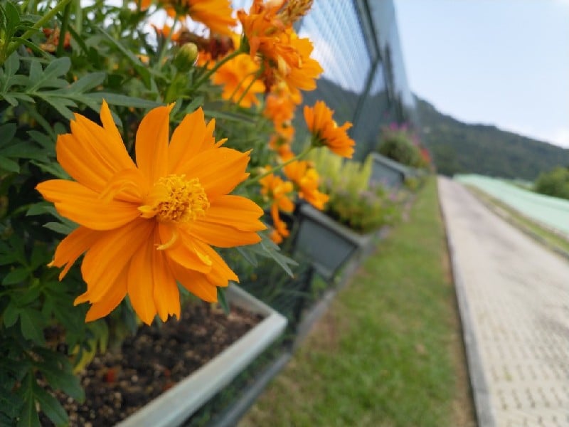 Google Camera 4.4 APK 下载: Nokia 8 上安装