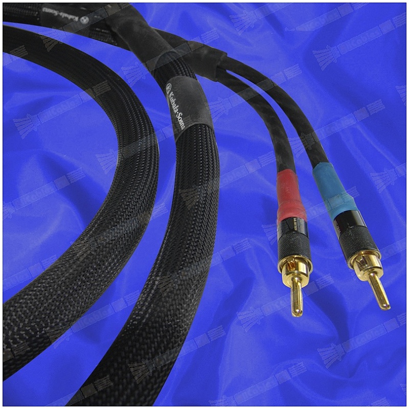 Kubala Sosna Expression Speaker Cable Single Wire SpadeSpade (2.5m) 價錢