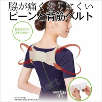 Dr Pro 矯形肩背帶女裝價錢 規格及用家意見 香港格價網price Com Hk