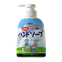 Wins 藥用殺菌消毒洗手液 250ml (含蘆薈提取物)
