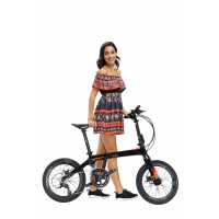 JAVA Aria Carbon Foldable Bike 18 Speed 碳摺單車