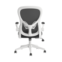 Xiaomi 小米 有品 黑白調人體工學雙腰拖護腰電腦椅