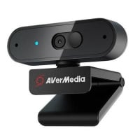 AVerMedia 1080p30 Autofocus Webcam 高畫質自動對焦USB攝影機 PW310P