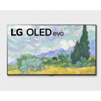LG 樂金 65吋 LG OLED TV G1 OLED65G1PCA