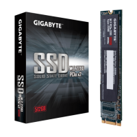 Gigabyte M.2 PCIe SSD 512GB (GP-GSM2NE8512GNTD)