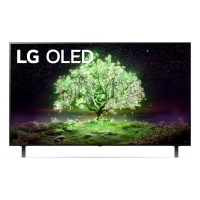 LG 樂金 48吋 OLED TV A1 OLED48A1PCA