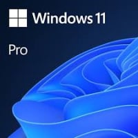 Microsoft Windows 11 Pro 64Bit OEM DVD