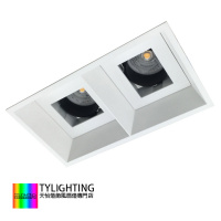 T.Y.L 天怡燈飾 LED Recessed downlight 暗裝燈架 嵌入式天花燈 T.Y.L.-2029-LD