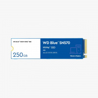 Western Digital Blue M.2 SN570 250GB (WDS250G3B0C)