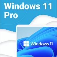 Microsoft Windows 11 Professional 正版序號