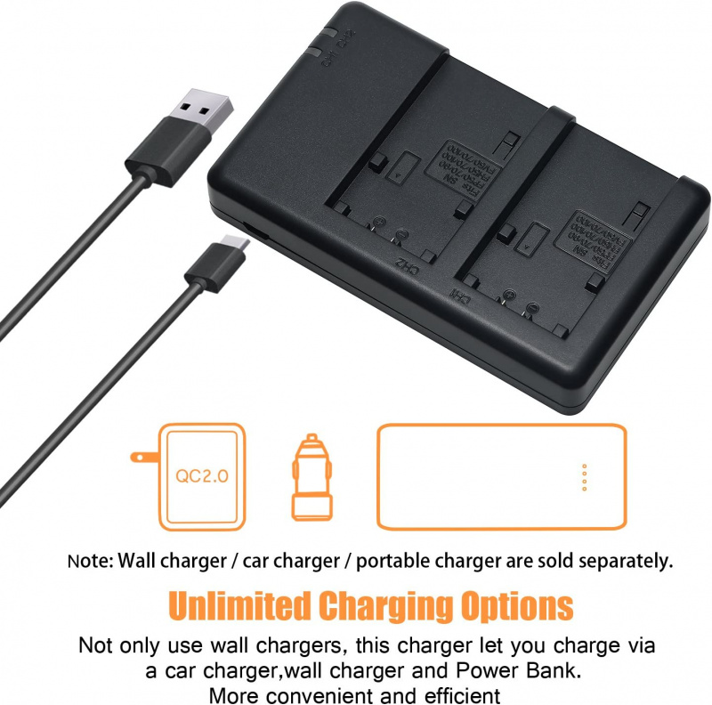 Buy Big Mike's NP-FH50 Batteries (Pack Of 2) And Battery Charger For