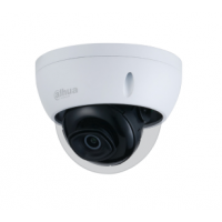 Dahua 大華 2MP IR Mini Dome Network Camera DH-IPC-HDBW2230EP-S-S2