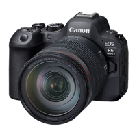 Canon EOS R6 Mark II 連 RF 24-105mm F4 L IS USM鏡頭套裝