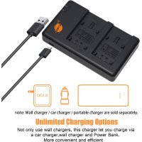 Caricatore USB Dual Per Batterie Panasonic E Sigma - Compatibile Con DMW-BLK22 E BP-61 - Foto 2