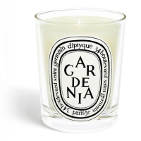 Bougie Parfumée Diptyque DÉLICE 190g - Neuf - Parfum D'Ambiance