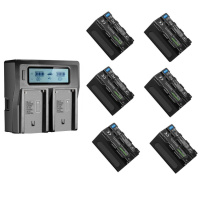 NEEWER Battery And Caricator Battery NP-F550 Compatible With Sony NP-F970 F750 F770 F960 F550 F530 F330 F570 CCD-SC55 TR516 TR716 TR818 TR910 TR917, Neewer Luci LED Monitor Slider (2pz, Blu