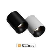 Aqara Spotlight 雙色溫筒射燈 T1 10W (明裝)