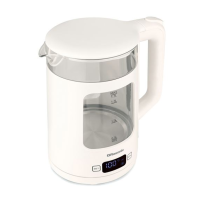 Rasonic 樂信 溫控電熱水壺 (1.7公升) RK-X175G