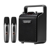 Edifier 戶外藍牙K歌音箱連兩支麥克風 PP205S