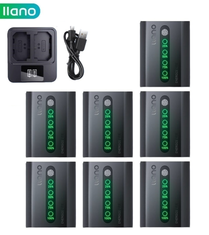 Llano 30W NP-FZ100 Chargeur Rapide Pour Sony Batteries D