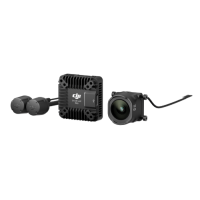 DJI O4 Air Unit Pro 影像傳輸系統