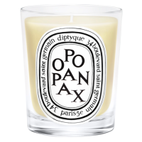 Diptyque Feu de Bois Candle - Bougie parfumée, feu de bois