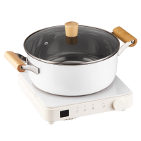 Gemini 雙子星 2200瓦電磁爐 + 燒烤及火鍋套裝 GIC21WH